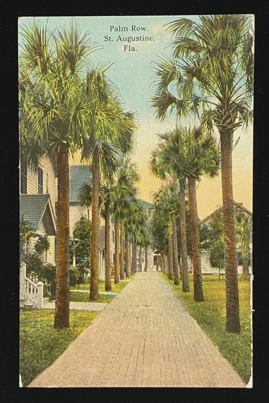 Palm Row, St. Augustine, Florida - Vintage Postcard
