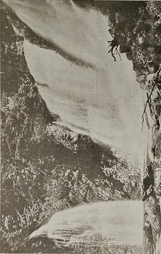 Bridal Vail and Lower Falls - Raymond's Kill - Pennsylvania - Vintage Black and White Postcard