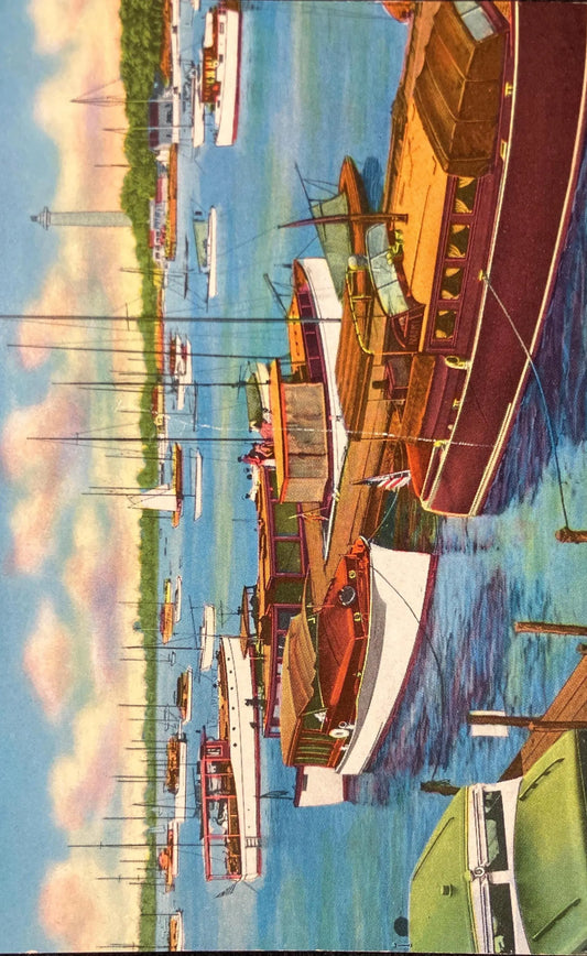Part of the Harbor, Put-in-Bay, Ohio - Vintage Postcard