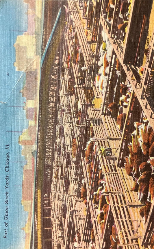 Part of Union Stock Yards, Chicago, Illinois- Vintage Park Postcard