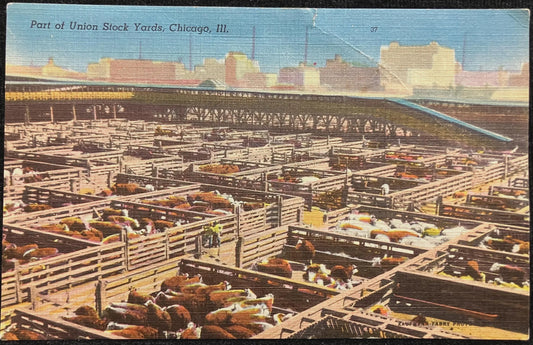 Part of Union Stock Yards, Chicago, Illinois- Vintage Park Postcard