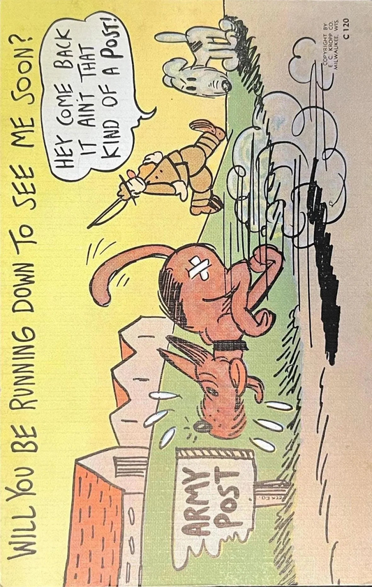 Will You Be Running Down To See Me Soon? - Funny Vintage Postcard