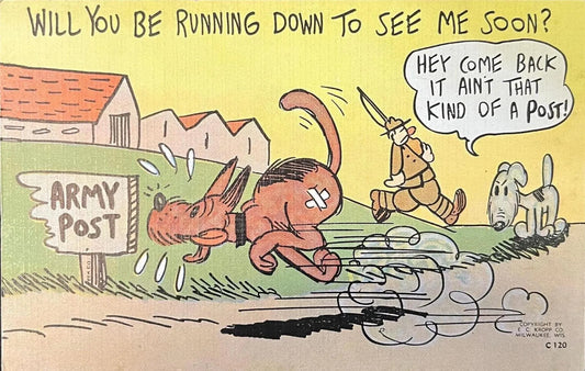 Will You Be Running Down To See Me Soon? - Funny Vintage Postcard