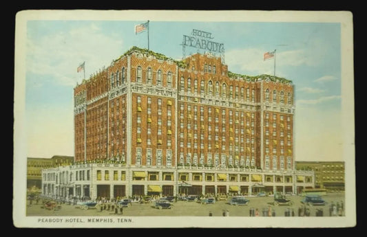 Peabody Hotel, Memphis, Tennessee - Vintage Postcard