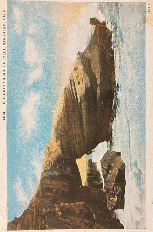 Alligator Head, La Jolla, San Diego, California - Vintage Coastal Rock Formation Postcard - La Jolla in 1940s