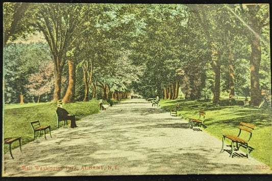 Mall Washington Park, Albany, New York - Vintage  New York Postcard - Walking Park in Ohio - Keeping cool in Summer