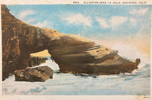 Alligator Head, La Jolla, San Diego, California - Vintage Coastal Rock Formation Postcard - La Jolla in 1940s
