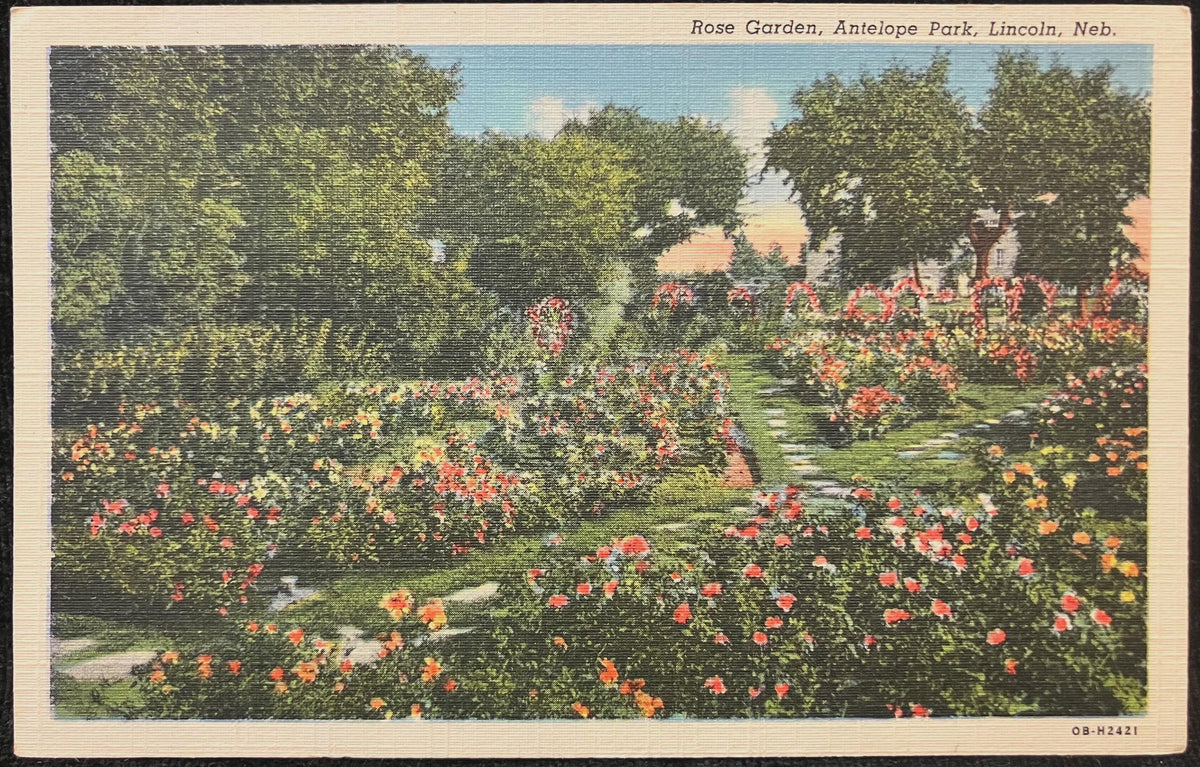 Rose Garden, Antelope Park, Lincoln, Nebraska - Vintage Postcard