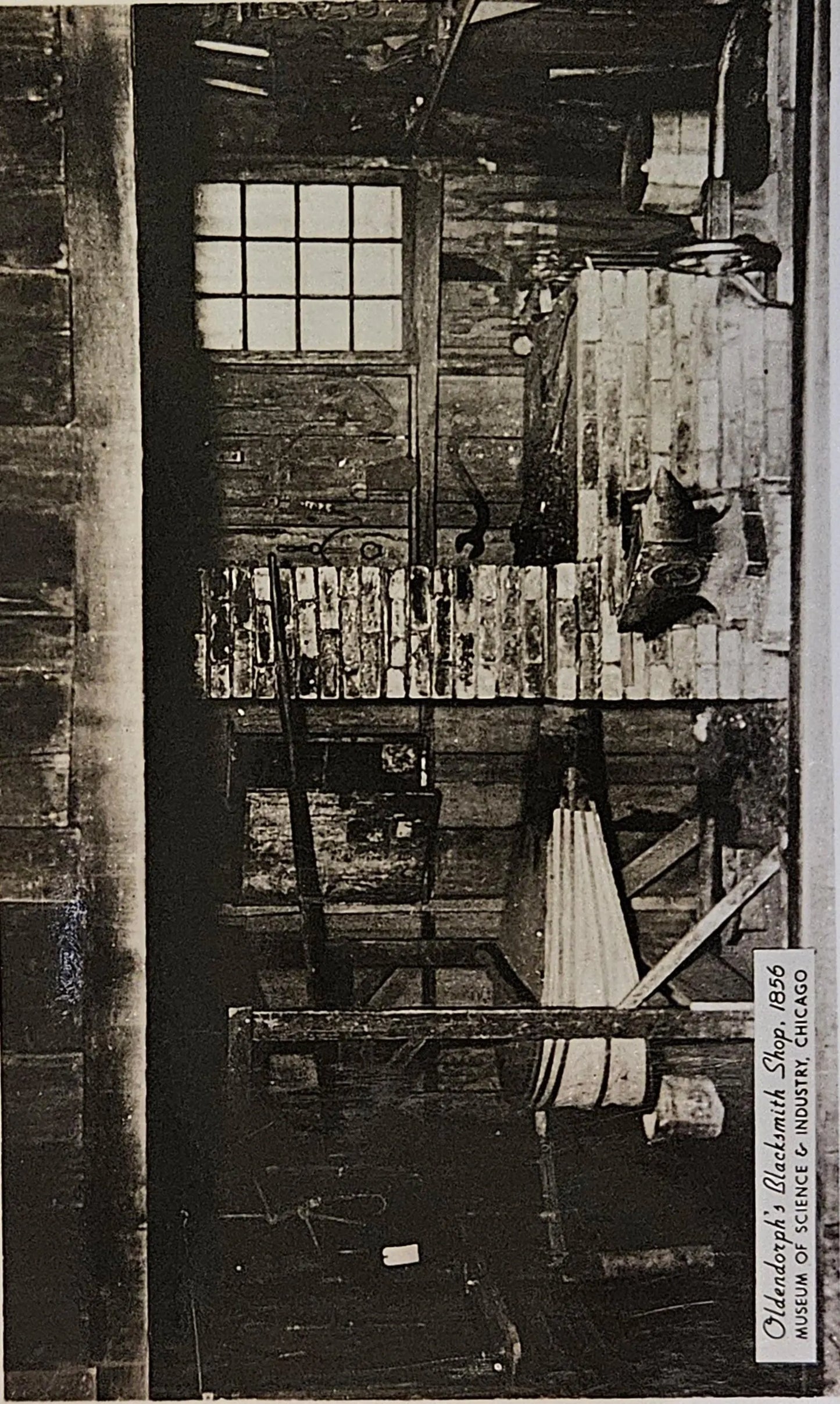 RPPC  Oldendorph's Blacksmith Shop in 1856- Chicago Museum of Science and Industry - Vintage Postcard