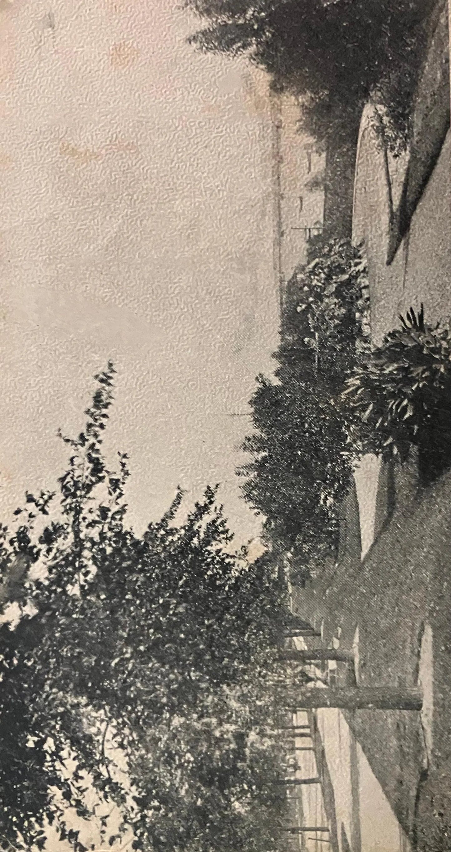 River Side Park - Toledo, Ohio - Vintage Park Postcard