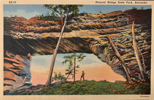 Natural Bridge State Park, Kentucky - 1940s Linen Postcard