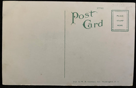 New Masonic Temple,  Washington D. C. -  Vintage Postcard