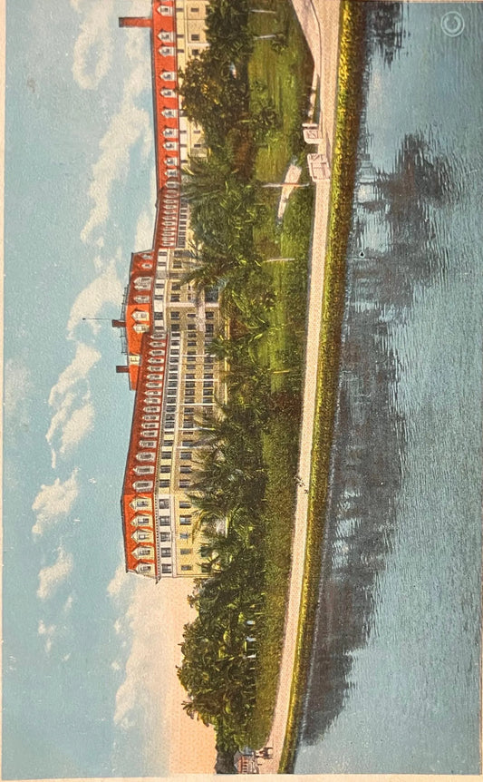 Royal Palm Hotel and Grounds, Miami, Florida - Vintage Hotel Postcard