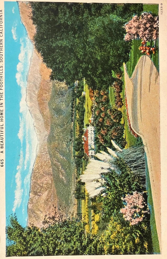 A Beautiful Home in the Foothills, Southern California - Flora and Mountain backdrop of Southern California - Vintage California Postcard