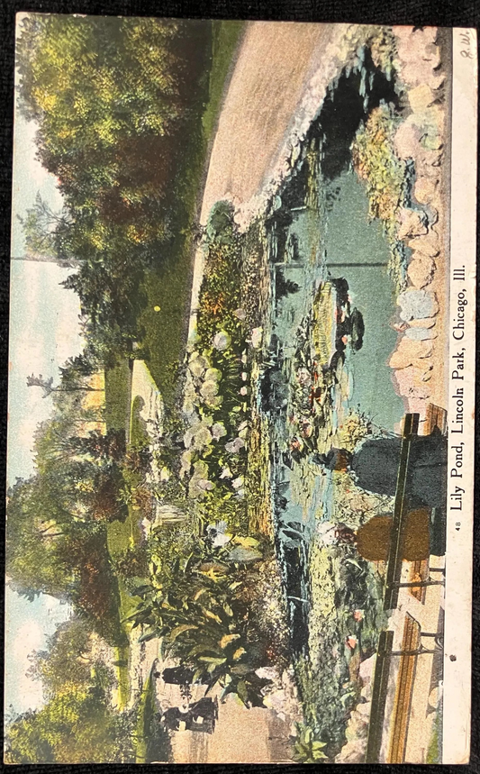 Lily Pond, Lincoln Park, Chicago, Illinois - Vintage Park Postcard Chicago Lincoln Park in 1900 - Ladies in Victorian Dresses - Tropical plants