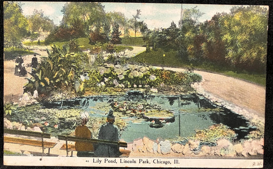 Lily Pond, Lincoln Park, Chicago, Illinois - Vintage Park Postcard Chicago Lincoln Park in 1900 - Ladies in Victorian Dresses - Tropical plants