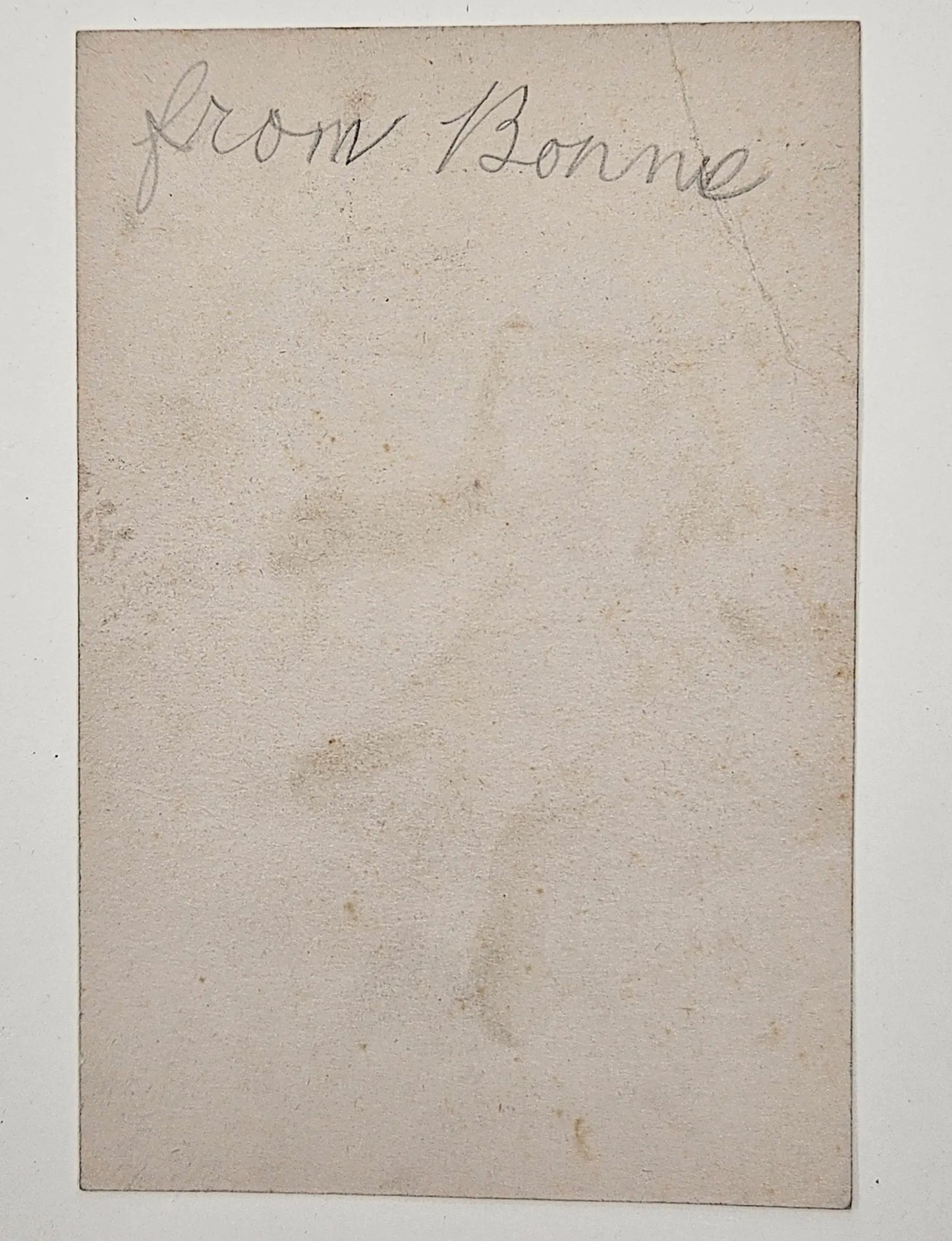 Children Looking at Monkey Sitting in Christmas Tree With Ornaments and Candles - "Wishing You A Jolly Good Christmas" - Christmas Postcard