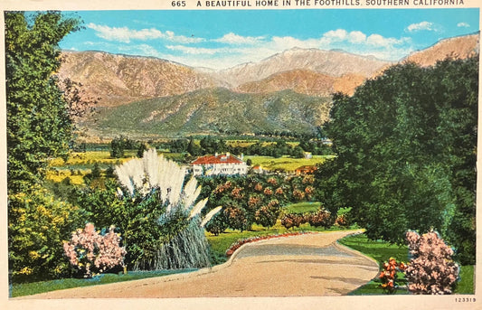 A Beautiful Home in the Foothills, Southern California - Flora and Mountain backdrop of Southern California - Vintage California Postcard