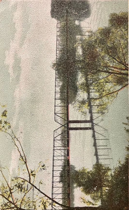 Nelson Bridge, Rockford, Illinois - Vintage Bridge Postcard