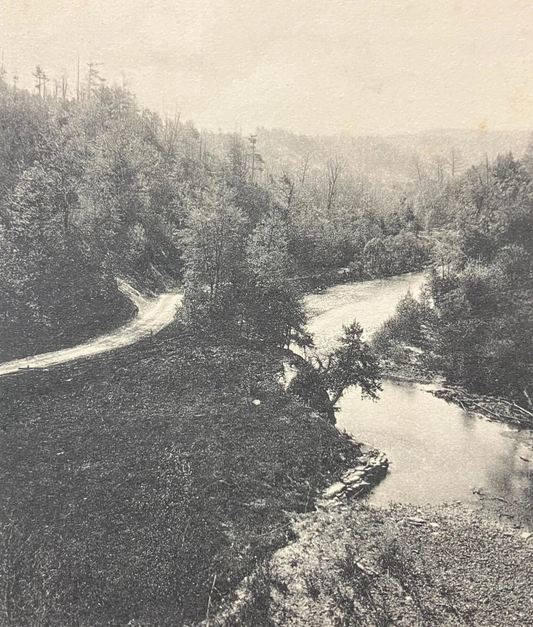 Entrance to Poag's Hole, Dansville, New York - 1903 address only backside Postcard