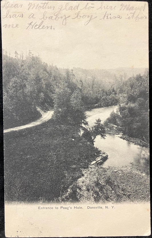 Entrance to Poag's Hole, Dansville, New York - 1903 address only backside Postcard