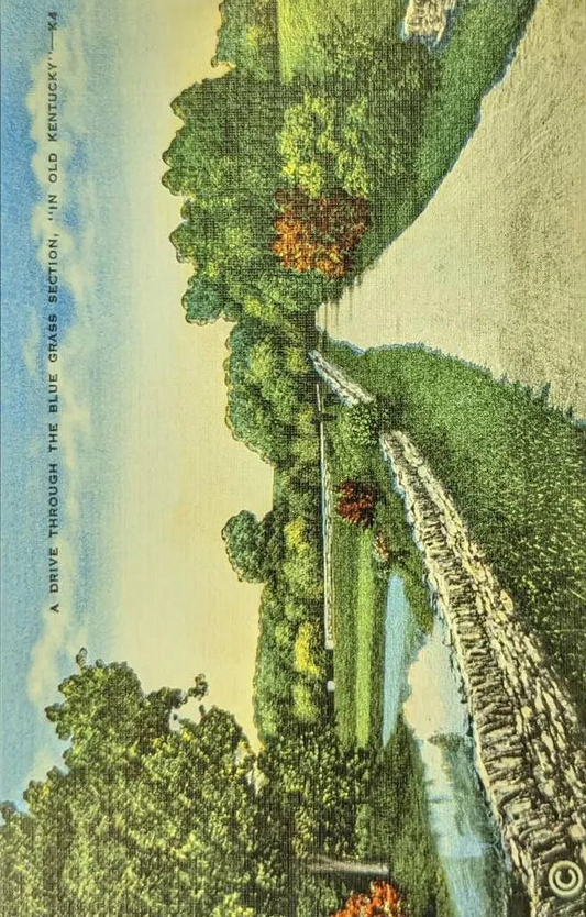 A Drive Through the Blue Grass Section - "In Old Kentucky" - Vintage Postcard
