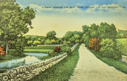 A Drive Through the Blue Grass Section - "In Old Kentucky" - Vintage Postcard