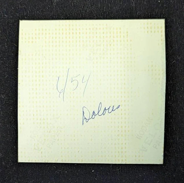 Black And White Photo Series of a Woman and a 1949 Ford - She loved the Ford the Man and the Farm - 4 sold as a set