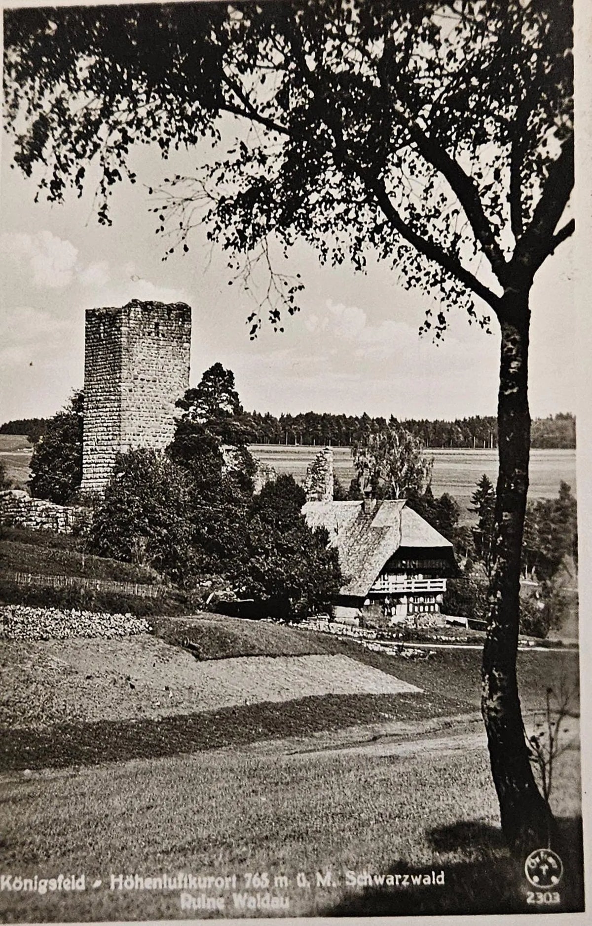 RPPC Konigsfeld Hohenlufkurort 1940s Germany Schwarzwald Turm Ruins Black Forest - Vintage Internati
