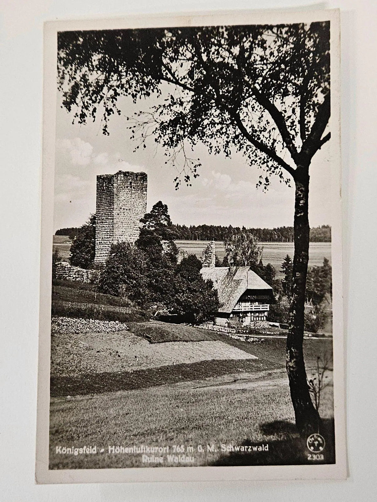 RPPC Konigsfeld Hohenlufkurort 1940s Germany Schwarzwald Turm Ruins Black Forest - Vintage Internati