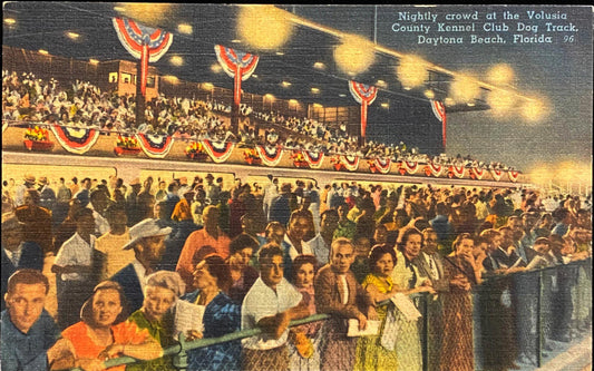 Nightly crowd at the Volusia County Kennel Club Dog Track, Daytona Beach, Florida - Vintage Dog Racing Postcard