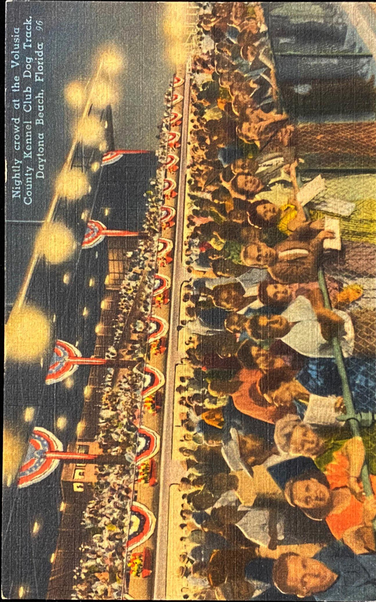 Nightly crowd at the Volusia County Kennel Club Dog Track, Daytona Beach, Florida - Vintage Dog Racing Postcard