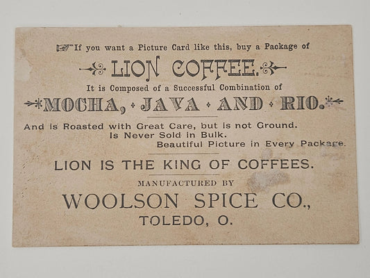 Lion Coffee, Woolson Spice Co. Trade Card -Botanical Illustration, Floral Arrangement in Vase