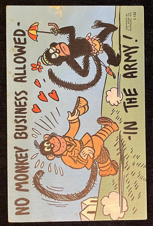No Monkey Business Allowed In The Army! - Humorous Vintage Postcard