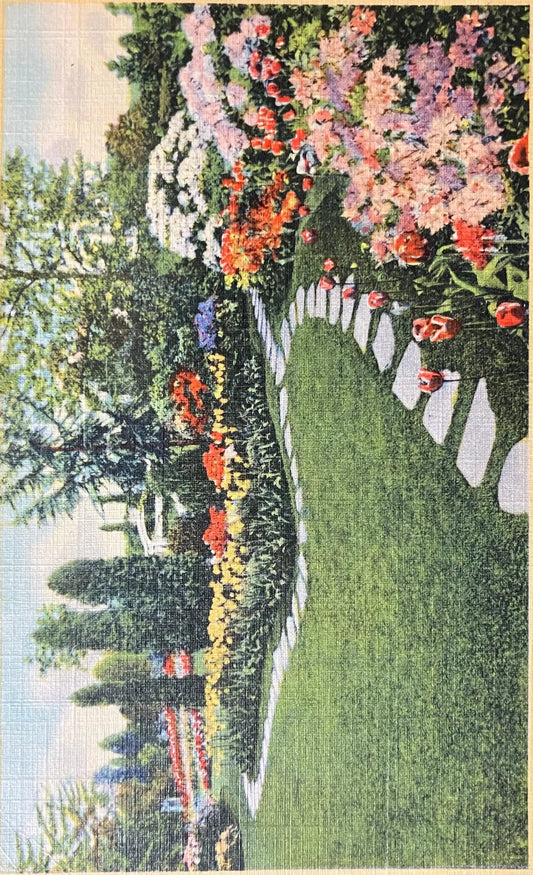 Azaleas and Rhododendrons, Lambert Gardens, Portland Oregon - Vintage Public Gardens Postcard
