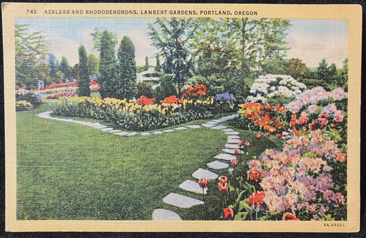 Azaleas and Rhododendrons, Lambert Gardens, Portland Oregon - Vintage Public Gardens Postcard