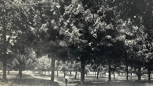 PR? - The Park, Wayland, Michigan