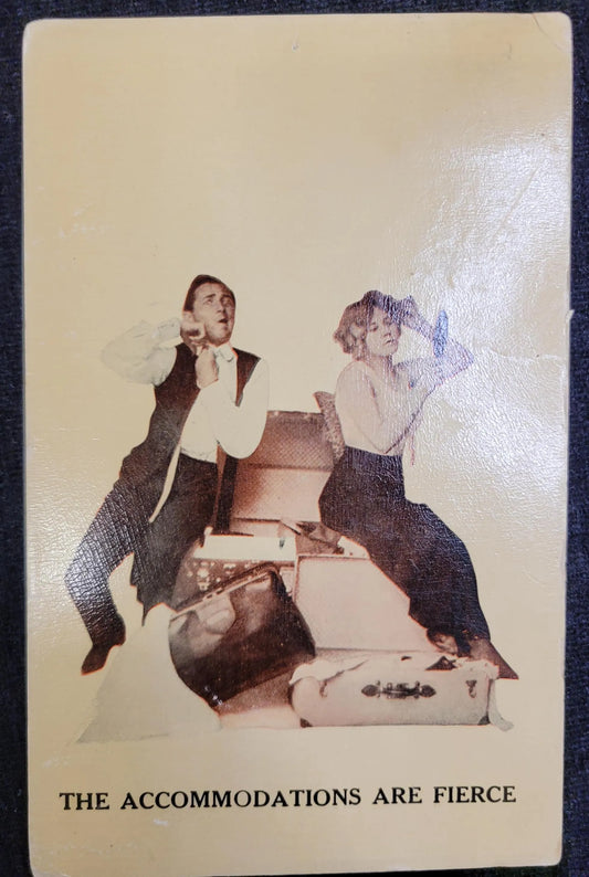 The Accomodations are Fierce - Vintage Postcard