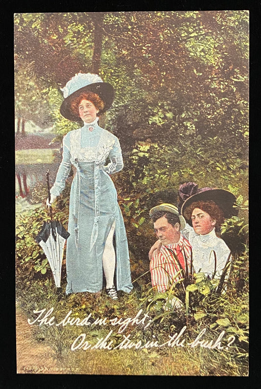 The bird in sight; Or the two in the bush? - Humorous Vintage Postcard