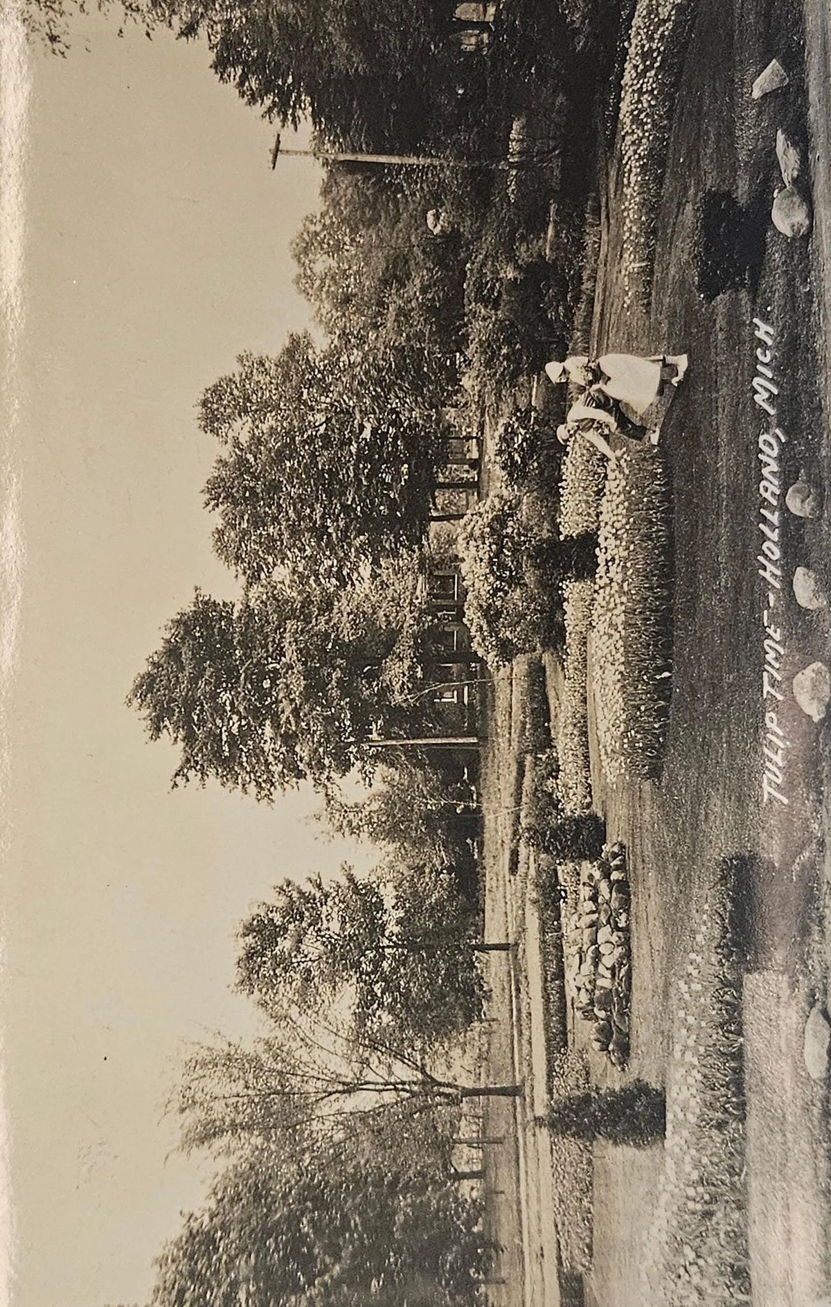 RPPC - Tulip Time in Holland, Michigan  1940s- Vintage Tulip Festival Postcard