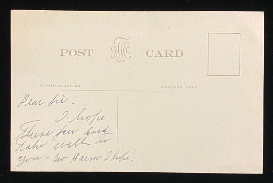The bird in sight; Or the two in the bush? - Humorous Vintage Postcard