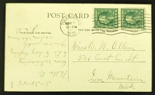 Lotus Field on Toledo Beach Electric Line, Ohio - Vintage Ohio Postcard -Filds of Lotus Flowers
