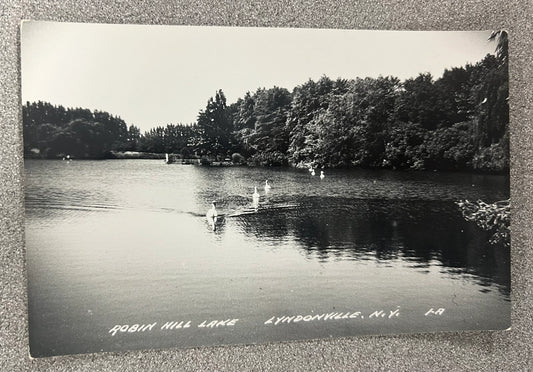RPPC -Ducks Swimming on Robin Hill Lake, Lyndonville, New York - Vintage Postcard