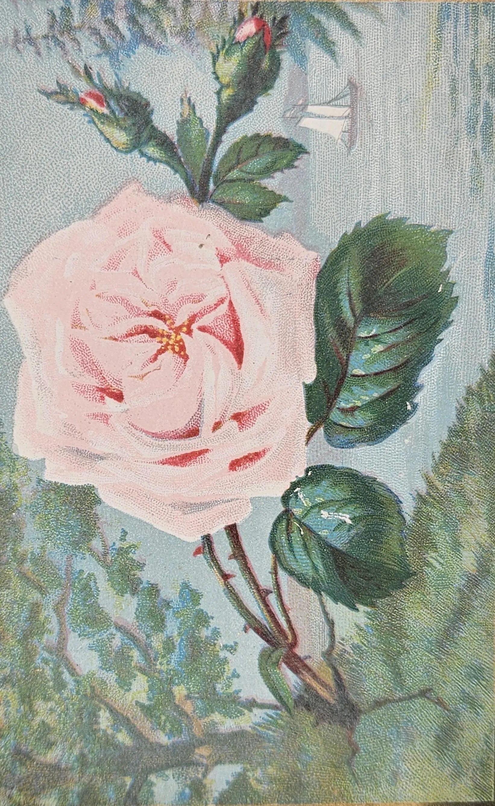 Vintage-style illustration of a pink rose with green leaves on a textured background