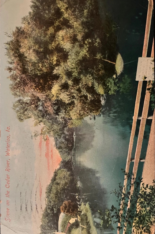 Scene on the Cedar River - Waterloo, Iowa - Made in Germany - Vintage Postcard