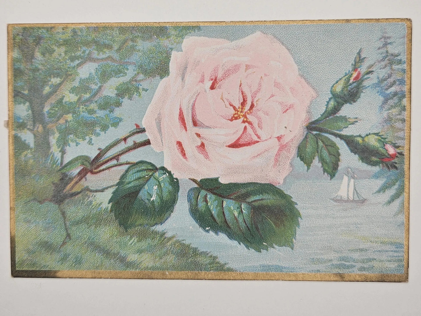 Vintage-style illustration of a pink rose with green leaves and a sailboat in the background.