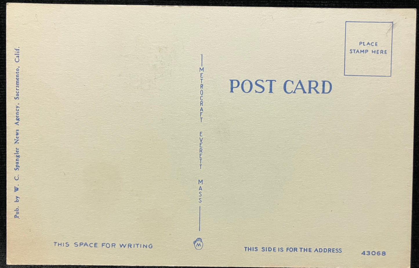 Picking Oranges in Fair Oaks Near Sacramento, California - Vintage Postcard