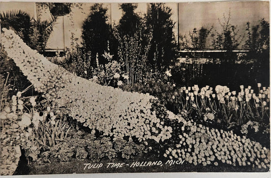 RPPC- Holland, Michigan Tulip Festifal Display -Vintage advertising Postcard