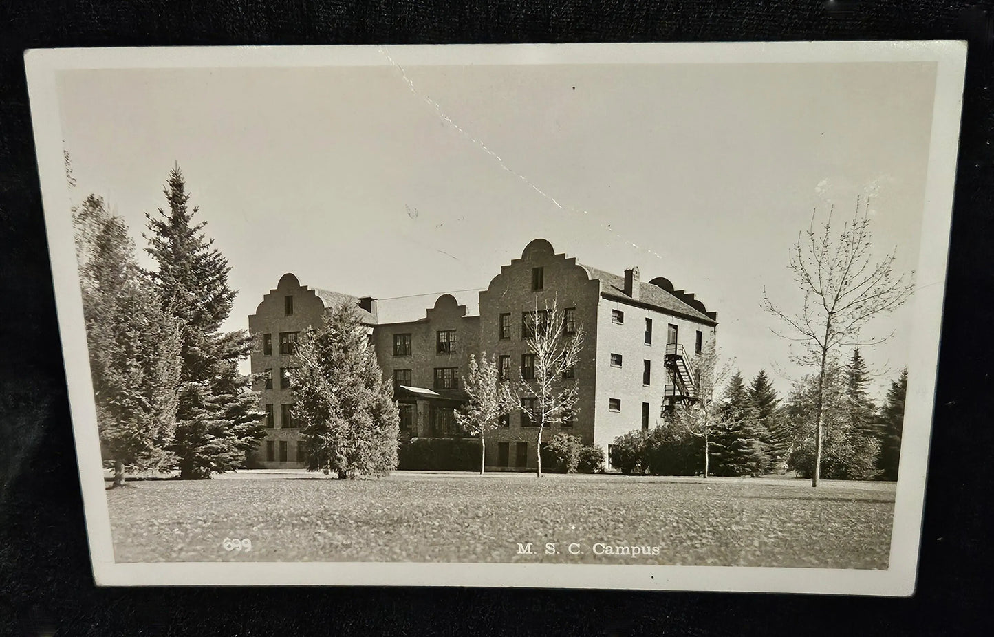 RPPC M S C Campus 1943 Photo -  Montana State College -Vintage Postcard