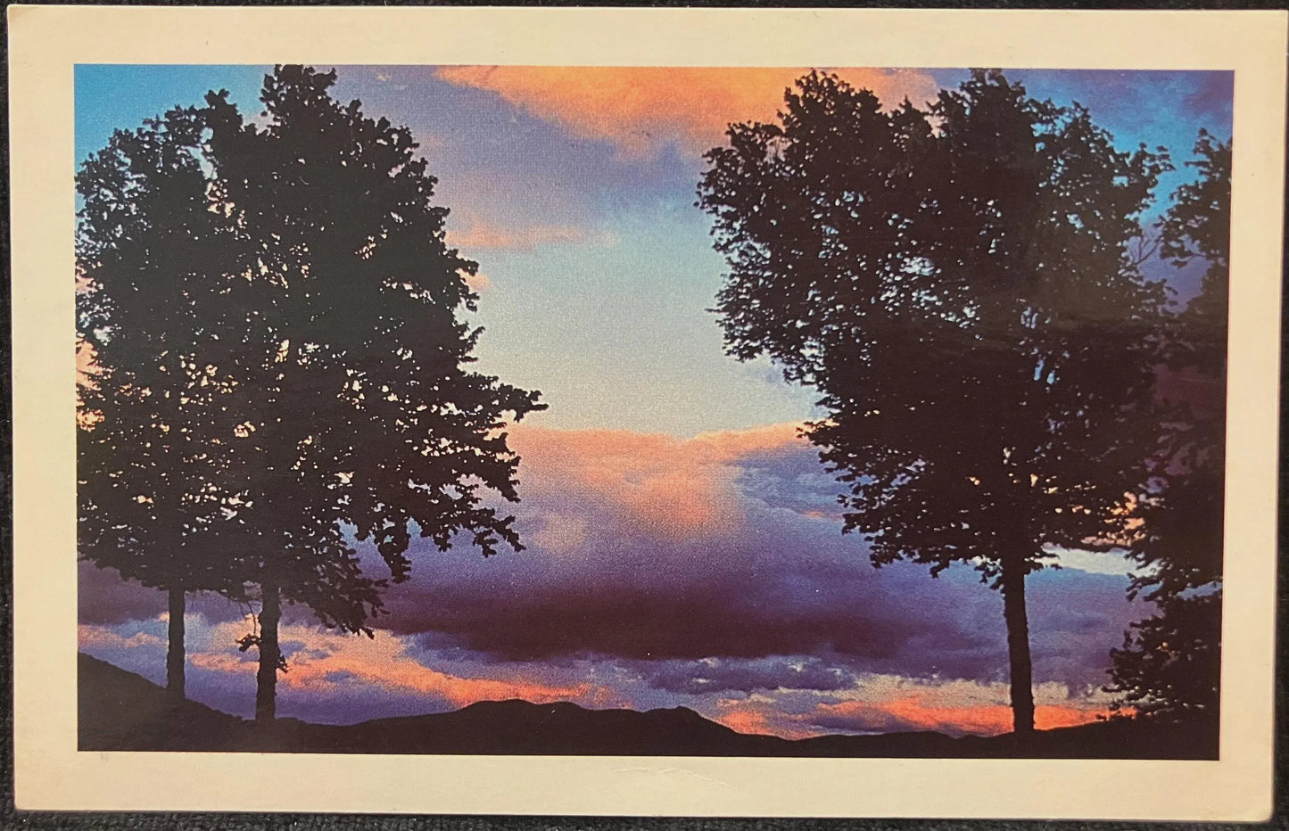 Two trees against a colorful sunset sky